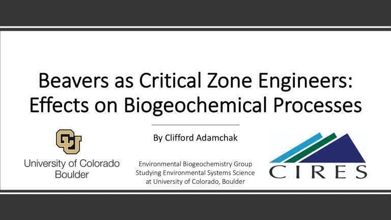 Beavers as Critical Zone Engineers: Effects on Biogeochemical Processes